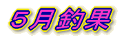5月釣果